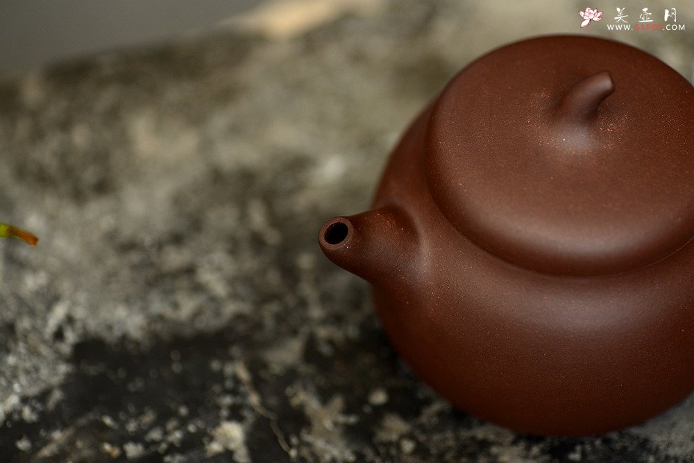 紫砂壶图片：美壶特惠 端庄大方 实用器型 匏瓜壶 - 宜兴紫砂壶网