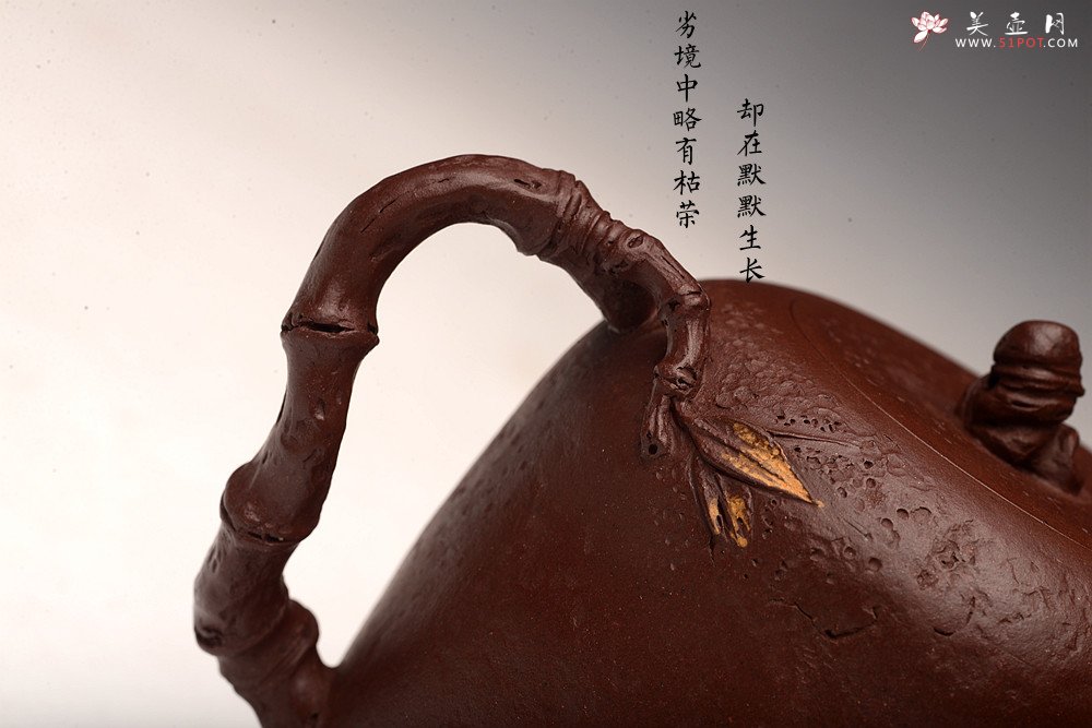 紫砂壶图片：潘丹初全手新作 泥‘玄’系列之玄石 古拙文气  石竹 峥嵘岁月 - 宜兴紫砂壶网