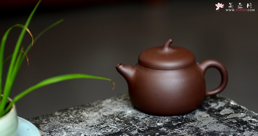 紫砂壶图片：美壶特惠 端庄大方 实用器型 匏瓜壶 - 宜兴紫砂壶网