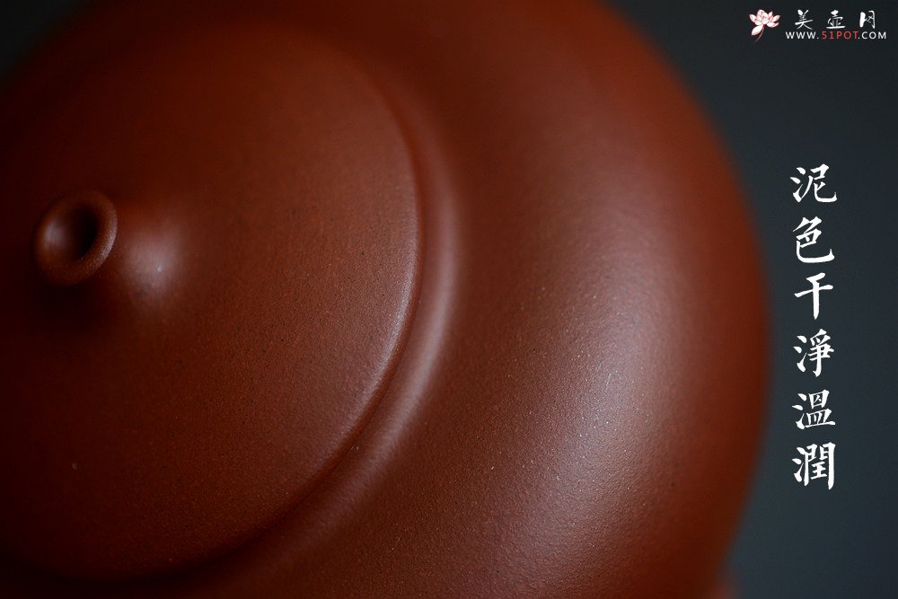 紫砂壶图片：饱满挺拔 圆润可人 于洪霞乙未年全手作品 童馨提梁 - 宜兴紫砂壶网