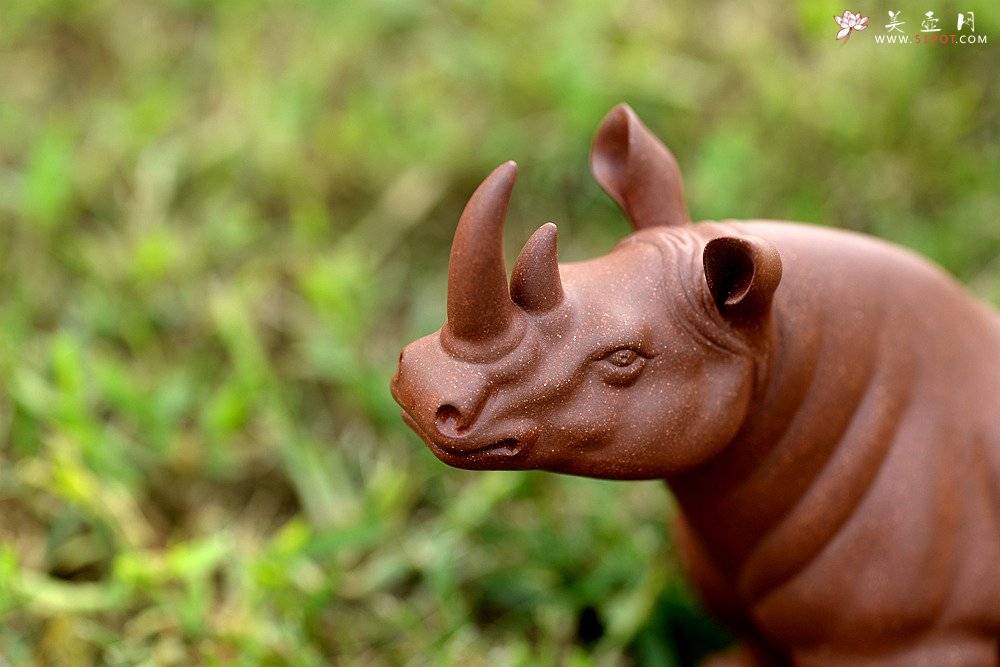 紫砂壶图片：稳如泰山~~犀牛 做工细腻 主体神态逼真 别有一番风味！ - 宜兴紫砂壶网