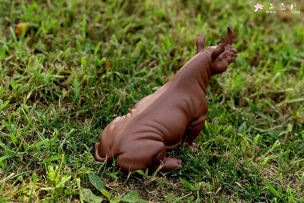 紫砂壶图片：稳如泰山~~犀牛 做工细腻 主体神态逼真 别有一番风味！ - 宜兴紫砂壶网