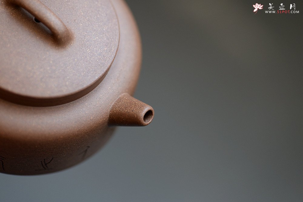 紫砂壶图片：詹黎明全手新品 王俊平装饰 圆润不失刚劲 文气周盘 - 宜兴紫砂壶网