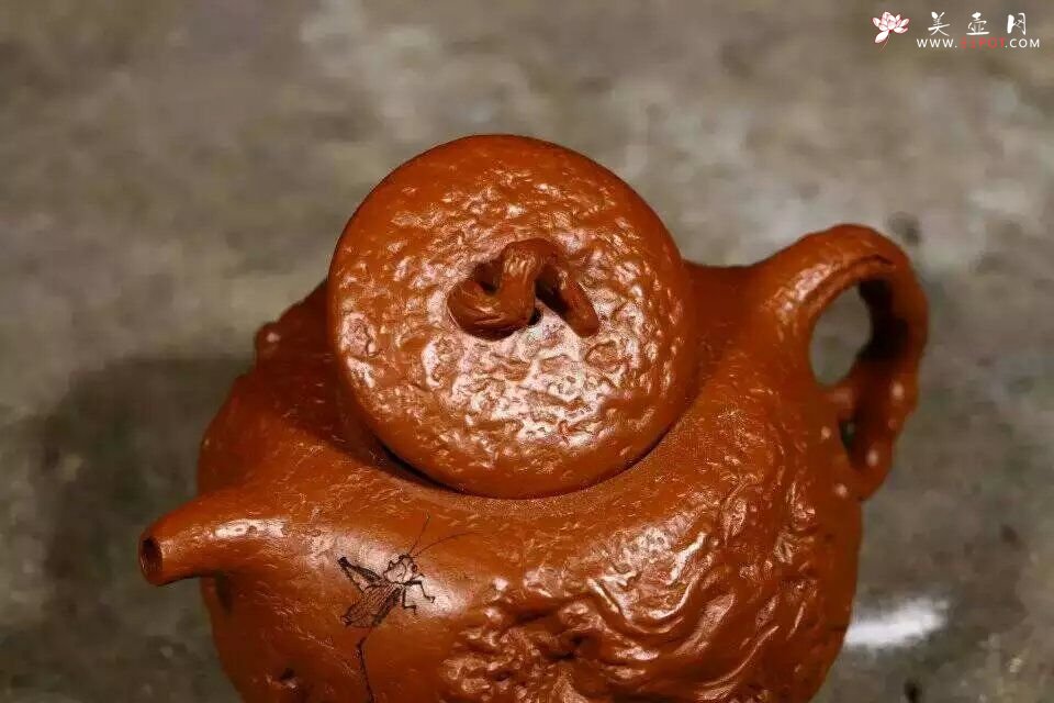 紫砂壶图片：供春壶 - 宜兴紫砂壶网