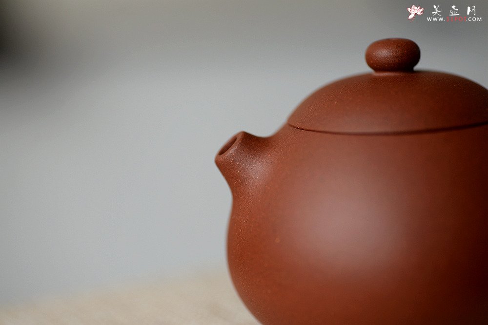 紫砂壶图片：美壶特惠 圆润饱满 实用小品 文旦 - 宜兴紫砂壶网