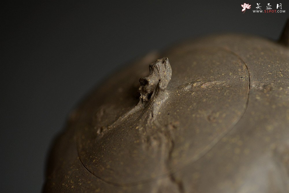 紫砂壶图片：林月长乙未年全手作品 返璞归真 清瘦山野清趣  香山秋林 - 宜兴紫砂壶网