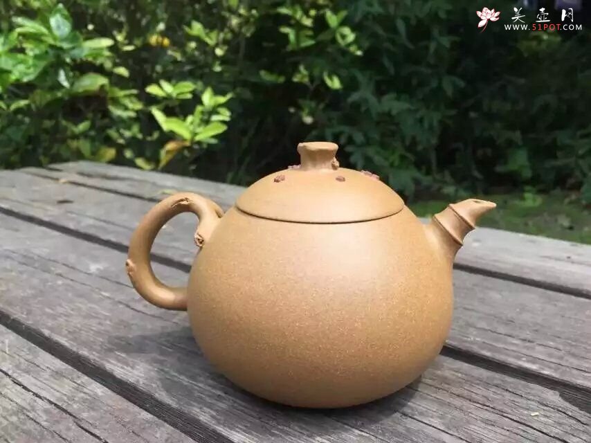 紫砂壶图片：含香 - 宜兴紫砂壶网