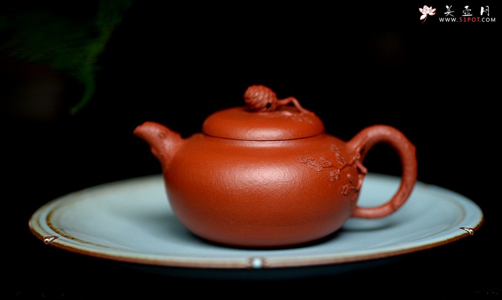 紫砂壶图片：蔡一强新品  实用花货 以松针装饰生动  原矿朱泥 全手松韵壶 - 宜兴紫砂壶网