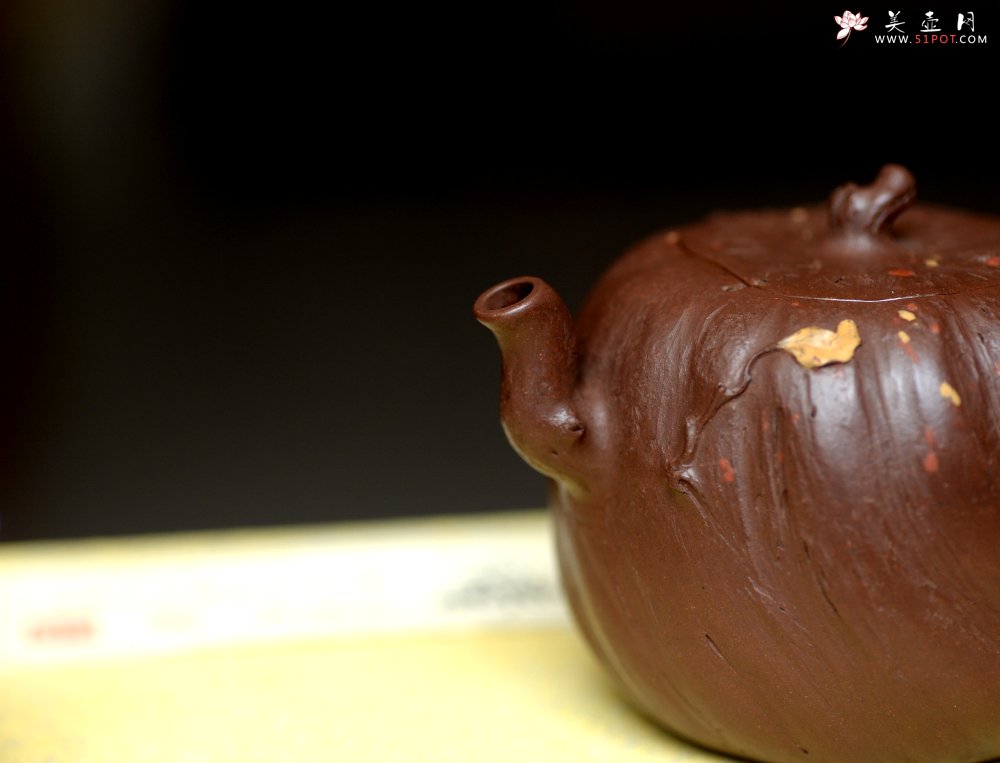 紫砂壶图片：花货新风尚  妙趣横生 潘丹初全手新作 树魂 - 宜兴紫砂壶网