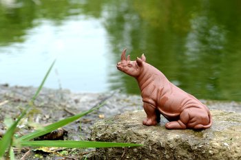 紫砂壶图片：稳如泰山~~犀牛 做工细腻 主体神态逼真 别有一番风味！ - 宜兴紫砂壶网