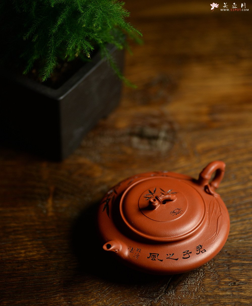 紫砂壶图片：优质朱泥 绿茶友人 扁竹 简意花货 - 宜兴紫砂壶网