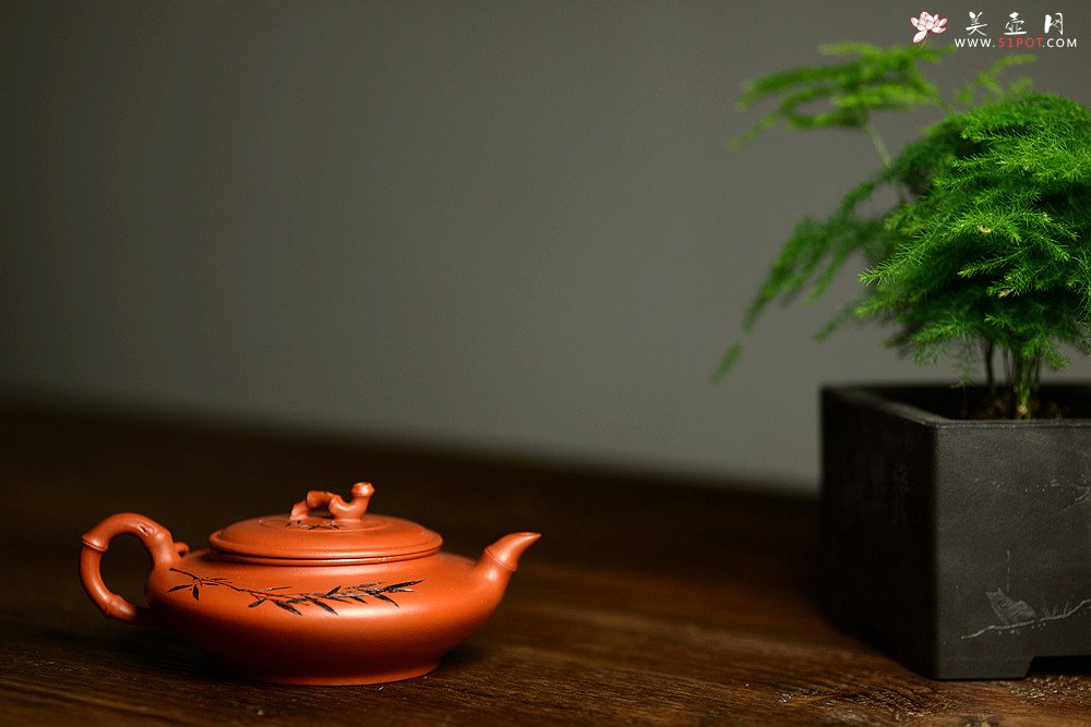 紫砂壶图片：优质朱泥 绿茶友人 扁竹 简意花货 - 宜兴紫砂壶网