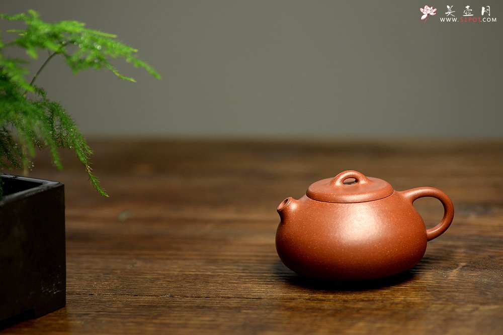 紫砂壶图片：优质降坡泥 周路健全手近作 禅瓢 实用耐品 - 宜兴紫砂壶网