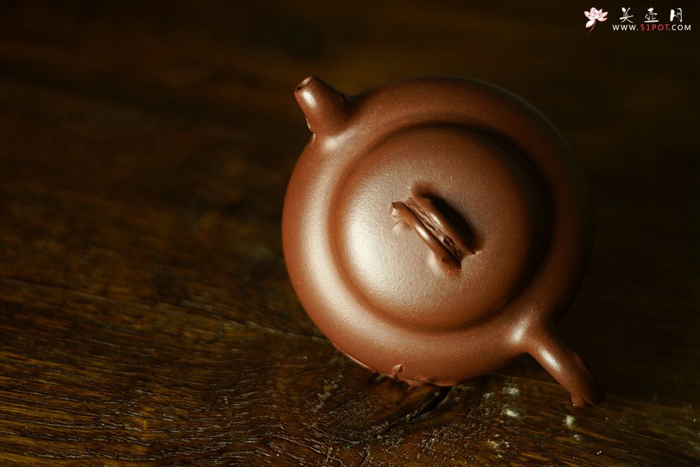 紫砂壶图片：高雪琴全手作品 饱满可人 简意花货 实用佳品 梅香 - 宜兴紫砂壶网