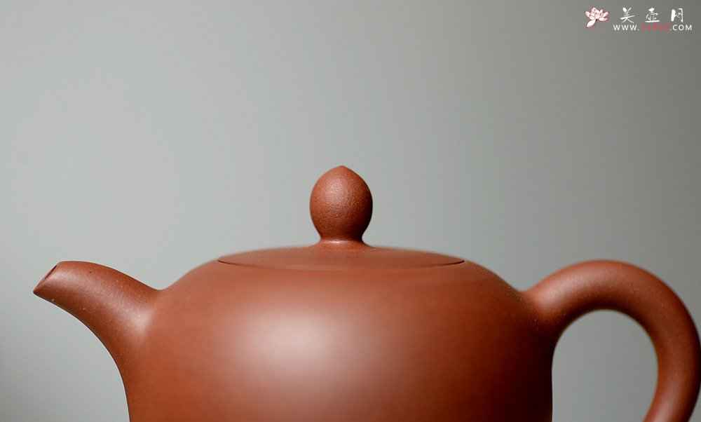 紫砂壶图片：曲峰老师全手精品之美人肩 亭亭玉立 娇俏可人 - 宜兴紫砂壶网