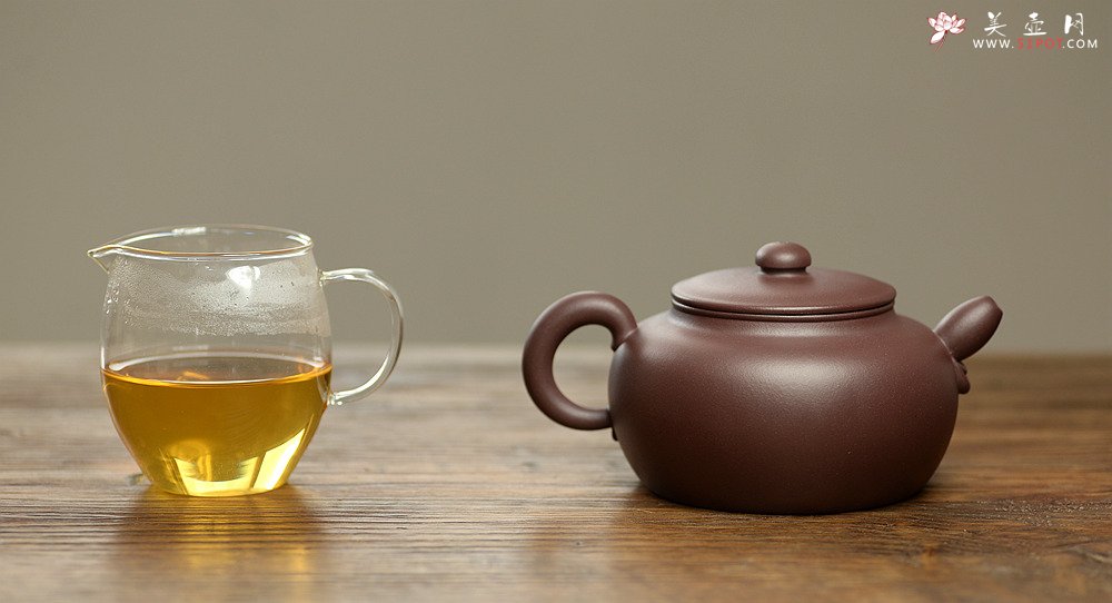 紫砂壶图片：陈进全手新品  全手薄胎无欲 造型新颖 有趣 - 宜兴紫砂壶网