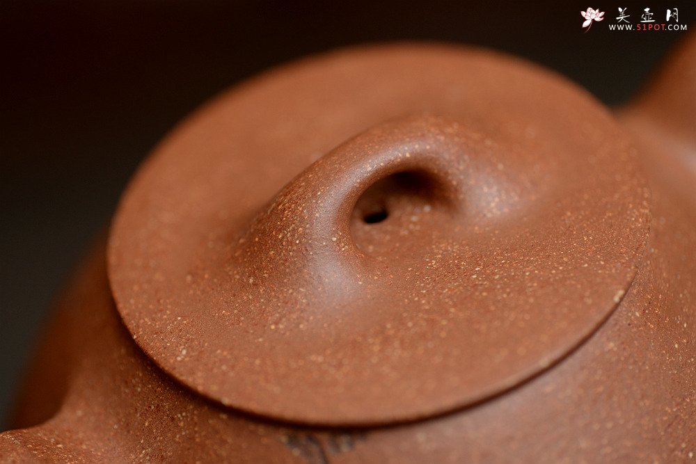 紫砂壶图片：陈进原创力作 全手东石韵瓢 刚柔并济 张听刚装饰  - 宜兴紫砂壶网