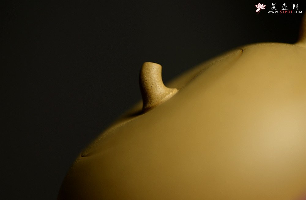 紫砂壶图片：于洪霞全手新品 娇小可人 纯正本山段泥  秋之小瓜  - 宜兴紫砂壶网