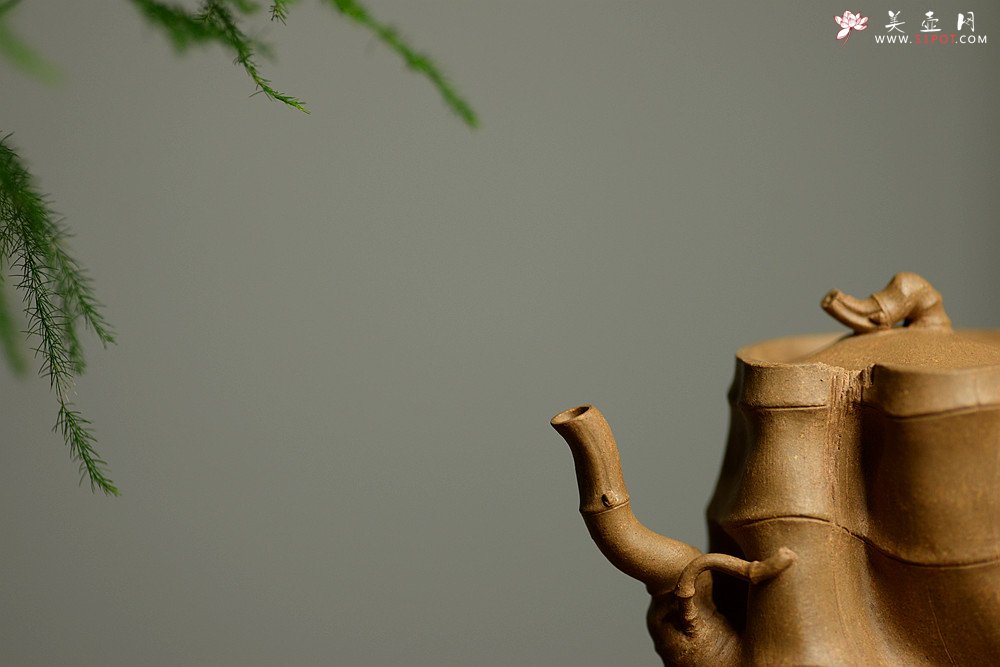 紫砂壶图片：林秀明最新作品 全手精品 文雅十足  清逸套组 一壶竹韵~ - 宜兴紫砂壶网