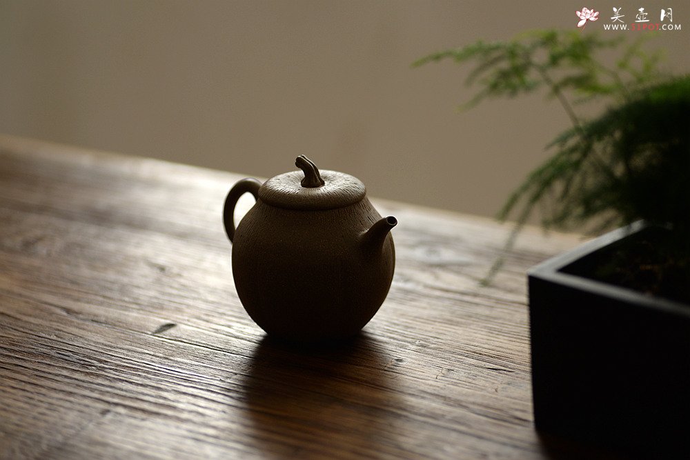 紫砂壶图片：潘小东全手新作 学院风 亭亭玉立 文气可人 玉瓜 - 宜兴紫砂壶网