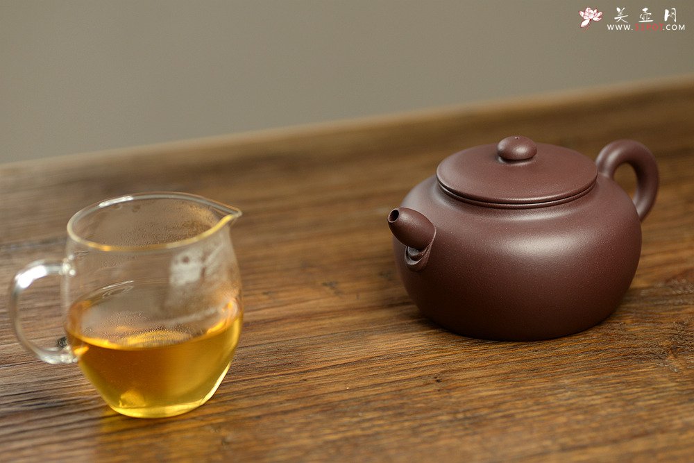 紫砂壶图片：陈进全手新品  全手薄胎无欲 造型新颖 有趣 - 宜兴紫砂壶网