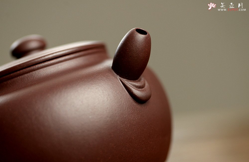 紫砂壶图片：陈进全手新品  全手薄胎无欲 造型新颖 有趣 - 宜兴紫砂壶网