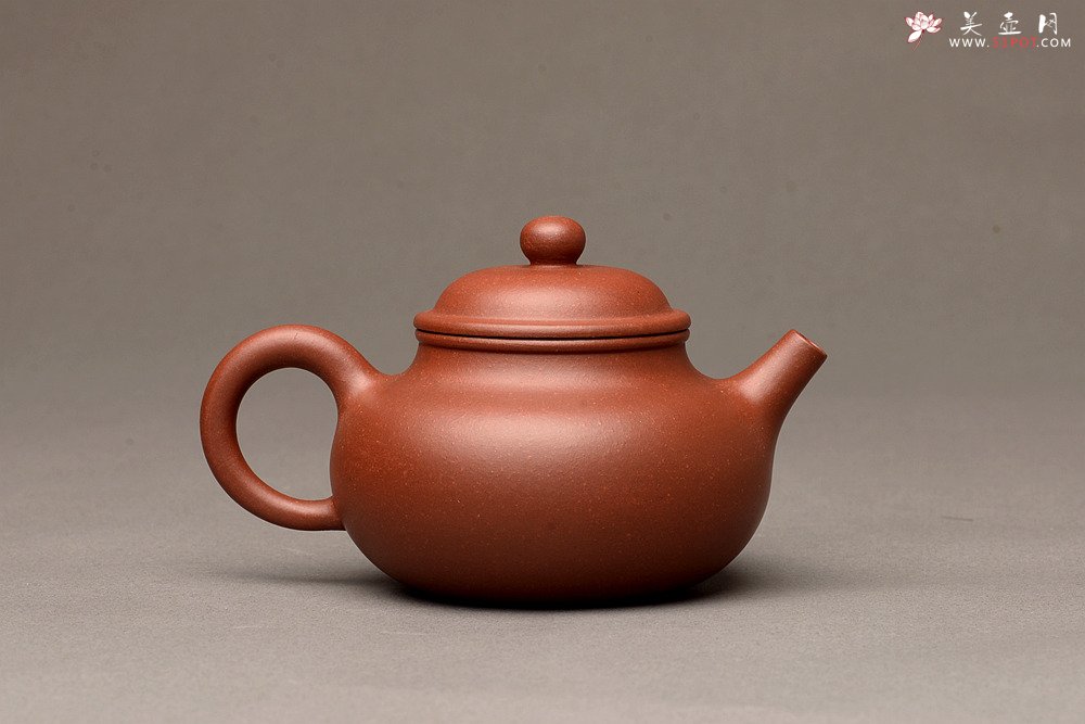 紫砂壶图片：美壶特惠之容天壶 超级实用品 性价比极高 - 宜兴紫砂壶网