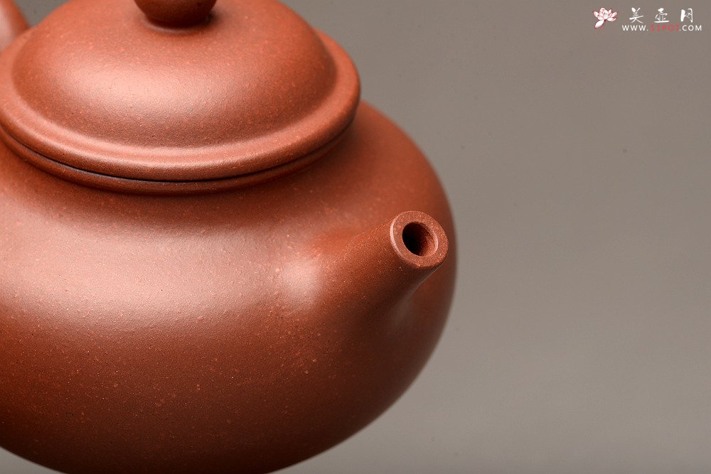 紫砂壶图片：美壶特惠之容天壶 超级实用品 性价比极高 - 宜兴紫砂壶网