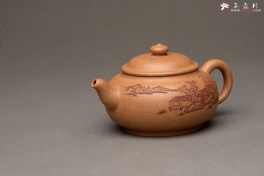 紫砂壶图片：颇有玩味 渐入佳境  全手乳丁 老段泥 - 宜兴紫砂壶网