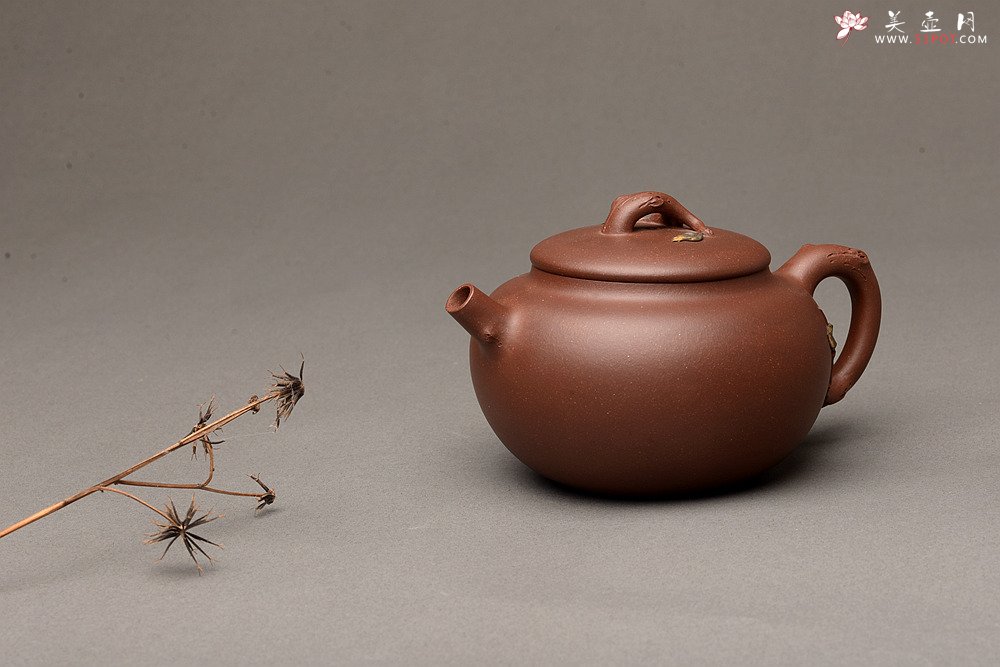 紫砂壶图片：饱满圆润 简意花货 全手脱颖 万阗阗夫人作品 - 宜兴紫砂壶网