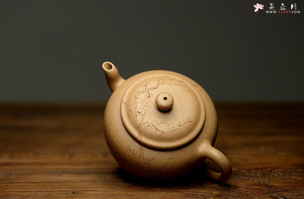 紫砂壶图片：国助工唐文新作 五彩段泥隐乐壶  端庄秀气 助工袁德波装饰 - 宜兴紫砂壶网