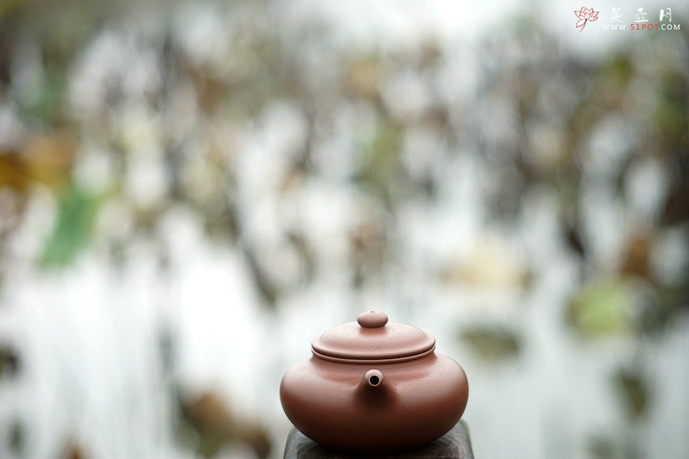 紫砂壶图片：徐正涛乙未年初冬全手作品  清秀俊雅 上等紫泥 仿古 - 宜兴紫砂壶网