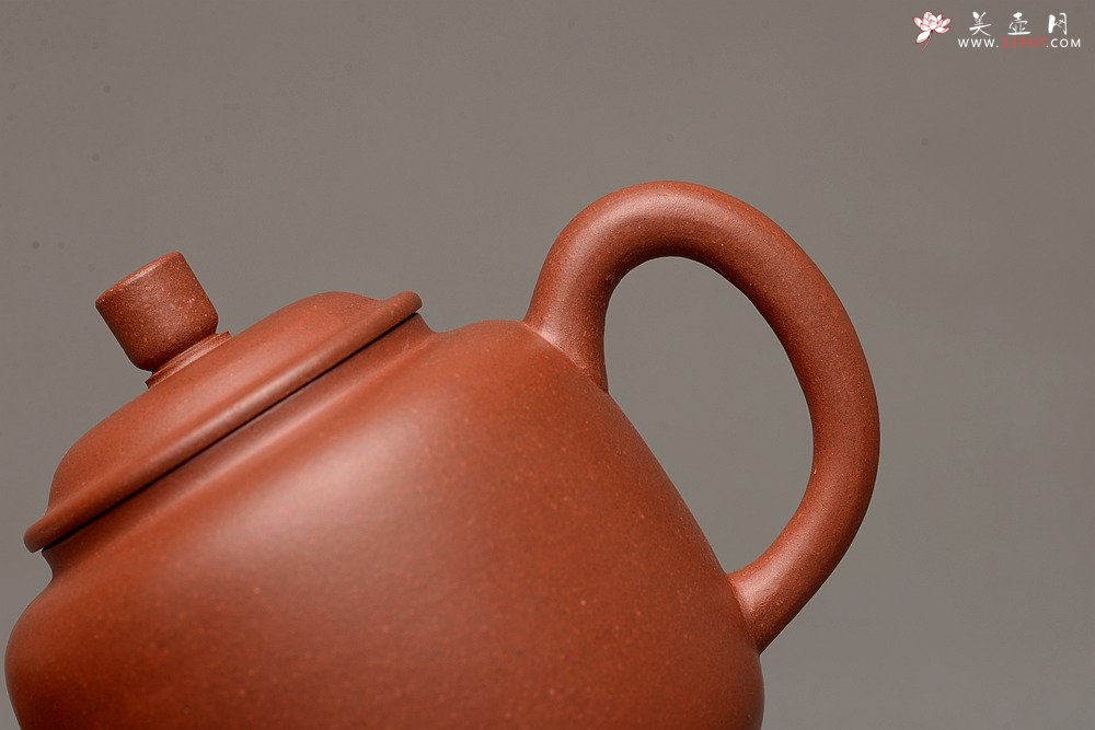 紫砂壶图片：美壶特惠之宫灯 亭亭玉立 有趣实用品 - 宜兴紫砂壶网