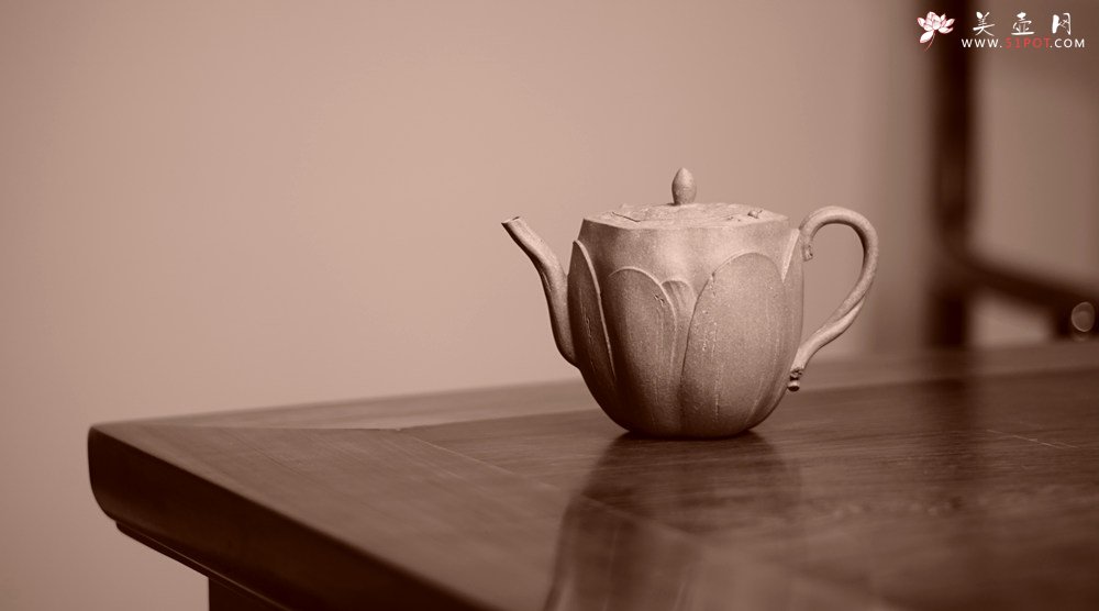 紫砂壶图片：郑志贤最新全手作品 荷香阵阵 学院派风格~ 池莲 - 宜兴紫砂壶网