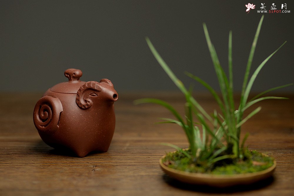 紫砂壶图片：美壶特惠之吉羊 喜气洋洋 有趣实用  - 宜兴紫砂壶网