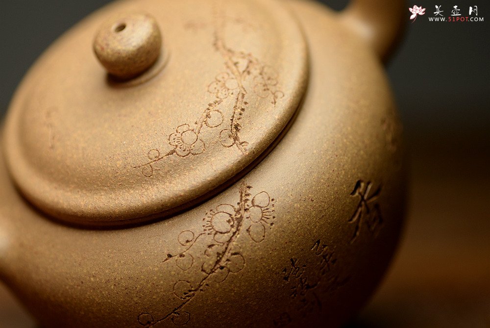 紫砂壶图片：国助工唐文新作 五彩段泥隐乐壶  端庄秀气 助工袁德波装饰 - 宜兴紫砂壶网