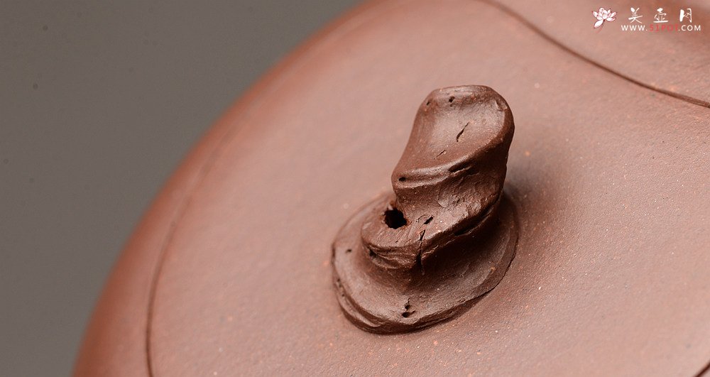 紫砂壶图片：花货新风尚 道法自然 妙趣横生 潘丹初乙未年全手之作 溪竹 - 宜兴紫砂壶网