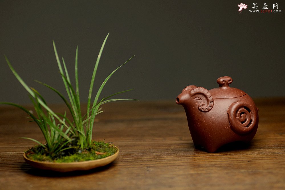 紫砂壶图片：美壶特惠之吉羊 喜气洋洋 有趣实用  - 宜兴紫砂壶网