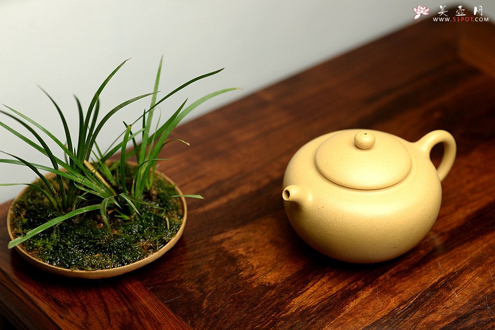 紫砂壶图片：于洪霞全手新品 灵巧可人 做工精致 福圆 - 宜兴紫砂壶网