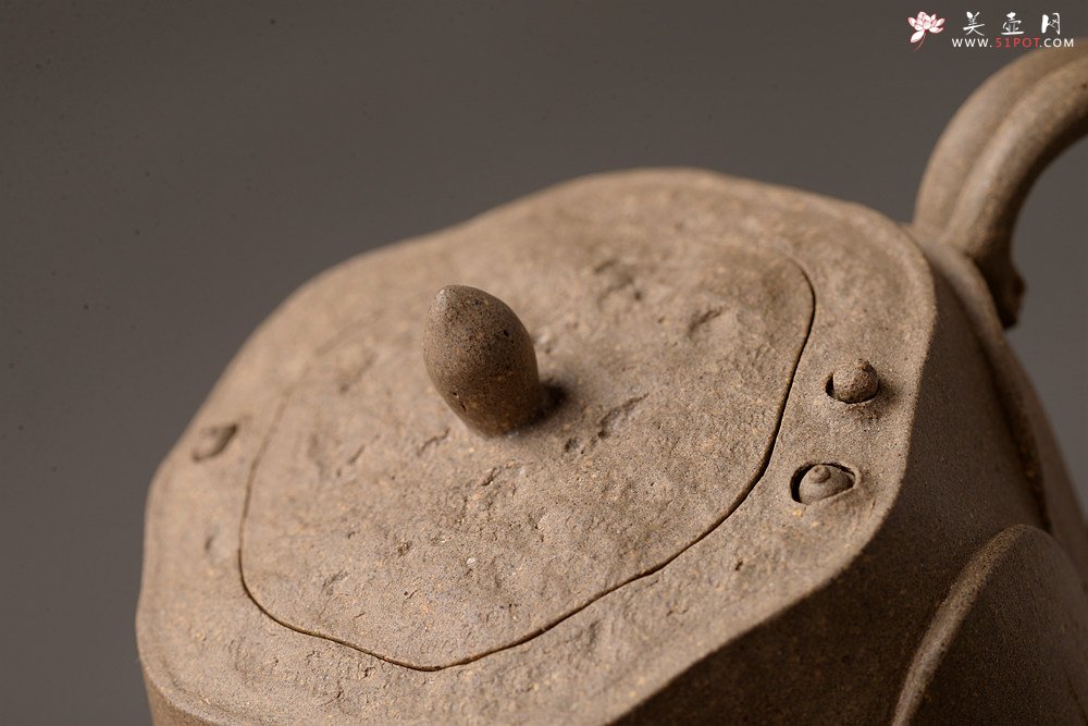 紫砂壶图片：郑志贤最新全手作品 荷香阵阵 学院派风格~ 池莲 - 宜兴紫砂壶网