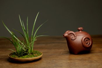 紫砂壶图片：美壶特惠之吉羊 喜气洋洋 有趣实用  - 宜兴紫砂壶网