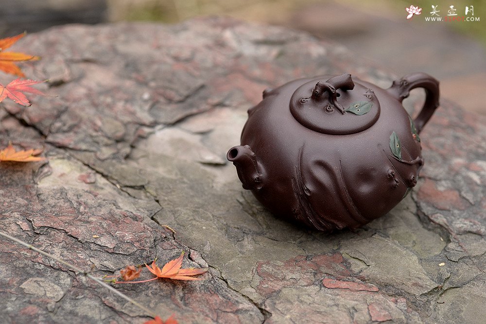 紫砂壶图片：灵秀俊美 自然清趣 玉露 典雅大气 原创作品孙伟强张新亚合作 - 宜兴紫砂壶网