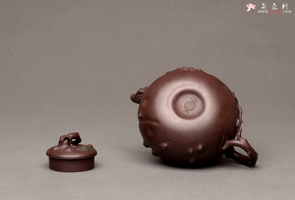 紫砂壶图片：灵秀俊美 自然清趣 玉露 典雅大气 原创作品孙伟强张新亚合作 - 宜兴紫砂壶网