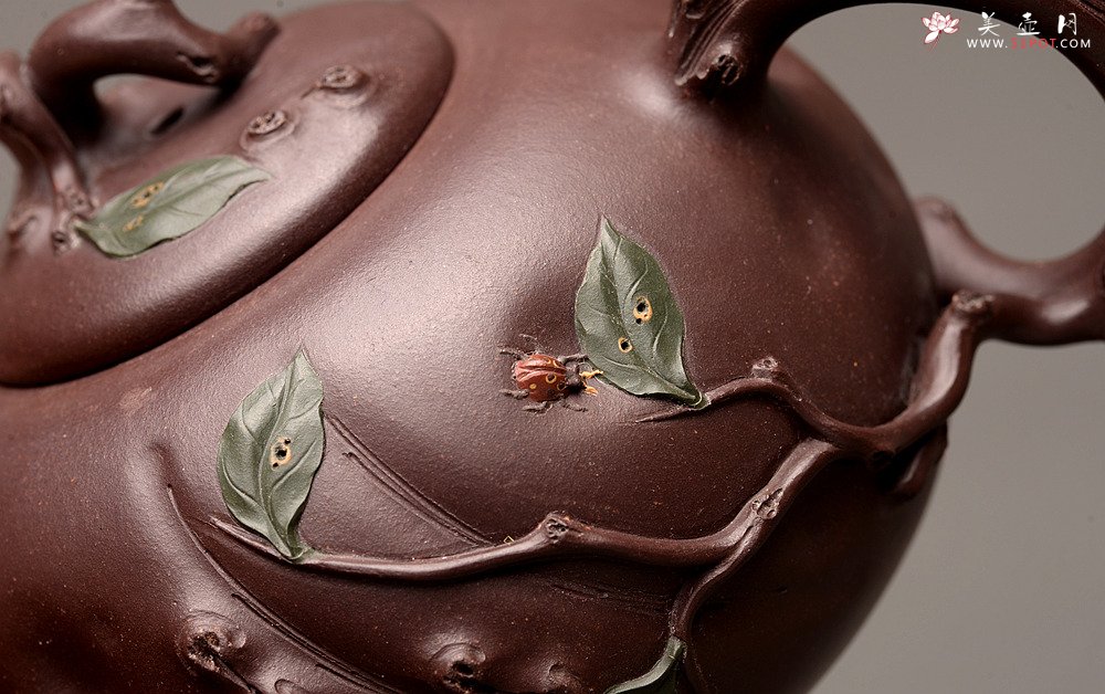 紫砂壶图片：灵秀俊美 自然清趣 玉露 典雅大气 原创作品孙伟强张新亚合作 - 宜兴紫砂壶网