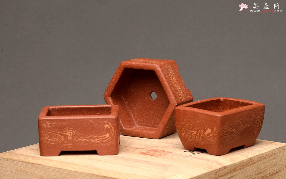 紫砂壶图片：张秋平全手微型胶泥小花盆 美壶网回馈之作 更加漂亮 - 宜兴紫砂壶网