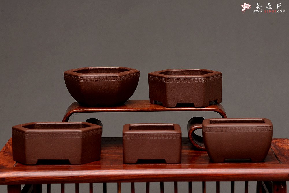 紫砂壶图片：张秋平全手微型花盆 美壶网回馈之作 气度更加漂亮 - 宜兴紫砂壶网