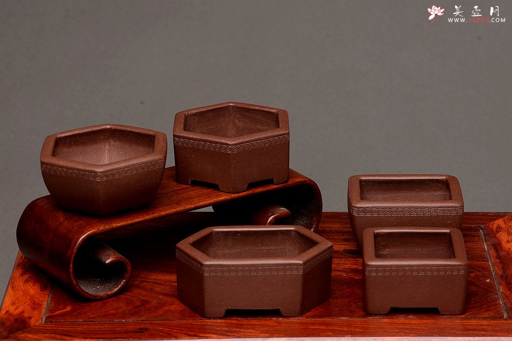 紫砂壶图片：张秋平全手微型花盆 美壶网回馈之作 气度更加漂亮 - 宜兴紫砂壶网