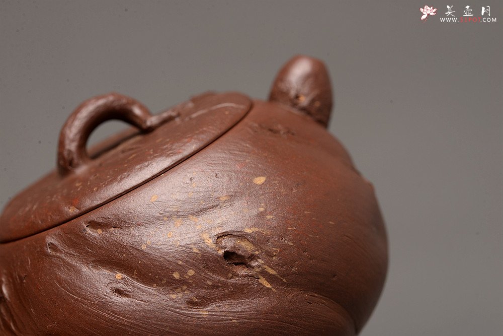 紫砂壶图片：潘丹初乙未冬全手作品 砂滴点点 随型桩 俏人小嘴 秋思 出水暴爽 - 宜兴紫砂壶网