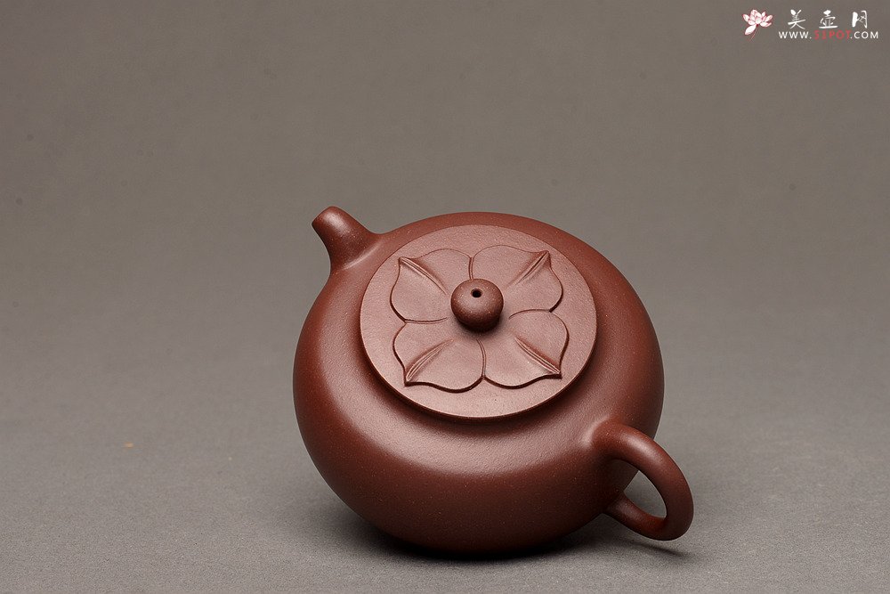 紫砂壶图片：马建鹏新品 饱满可人 有趣实用 莲华壶 美壶特惠  - 宜兴紫砂壶网