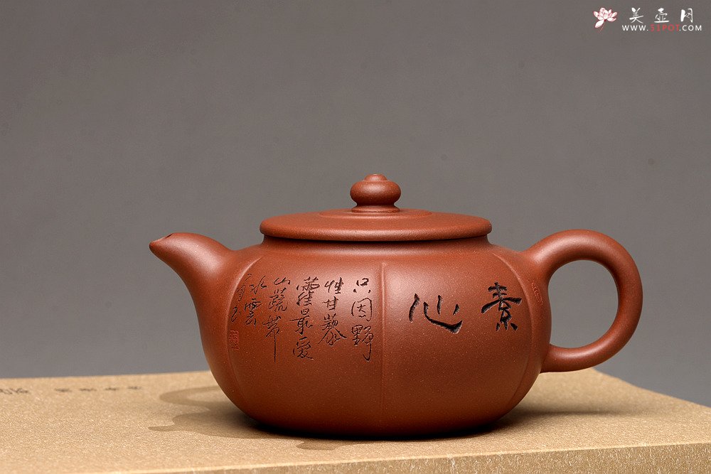 紫砂壶图片：钱伟刚最新作品 饱满 器形端庄 素心 - 宜兴紫砂壶网